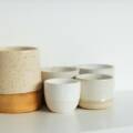 Upcoming Workshop: Introduction to Pottery Handbuilding